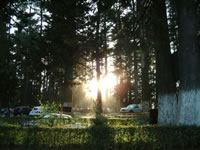 Ejemplo del curso Fotografía